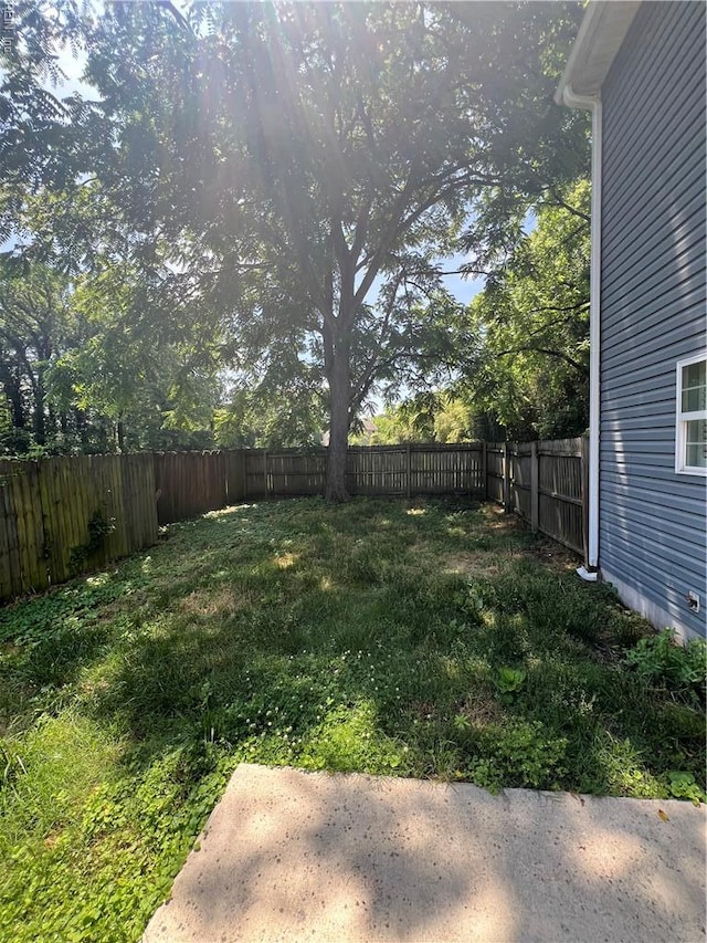405 San Antonio Blvd, Norfolk, VA 23505 - view of yard