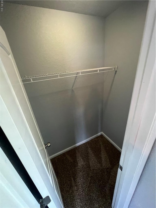 405 San Antonio Blvd, Norfolk, VA 23505 - spacious closet featuring carpet flooring