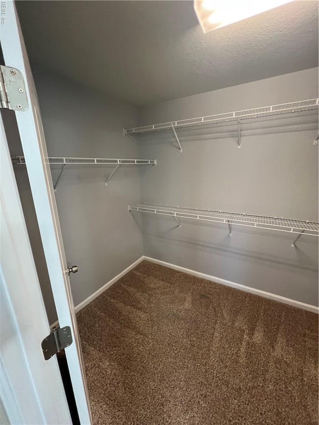 405 San Antonio Blvd, Norfolk, VA 23505 - walk in closet with carpet floors