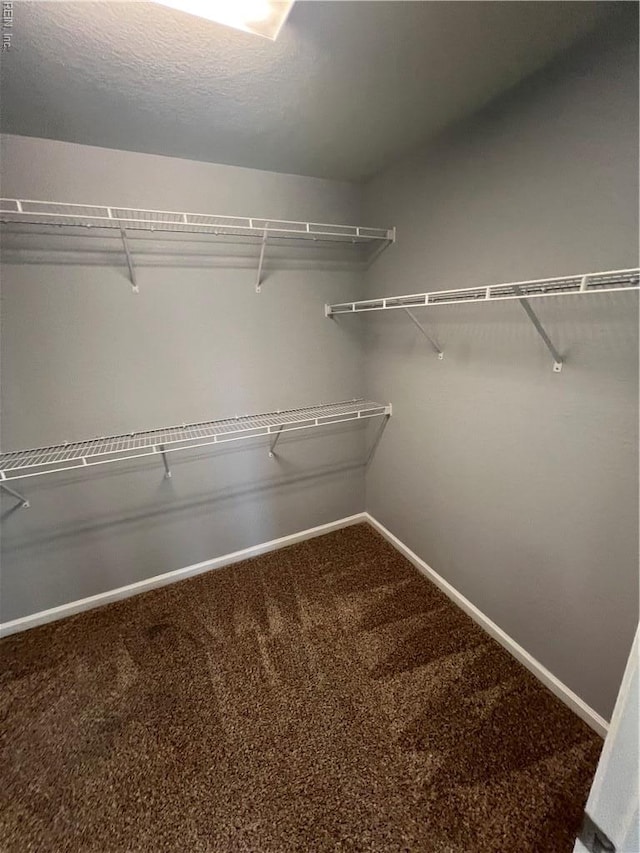 405 San Antonio Blvd, Norfolk, VA 23505 - spacious closet with carpet flooring
