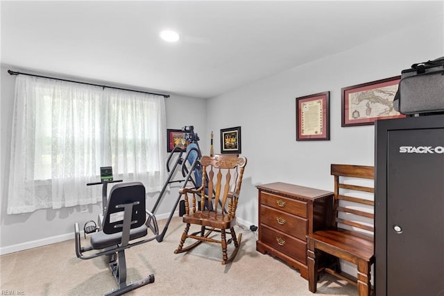 6944 Crittenden Rd, Suffolk, VA 23432 - workout room featuring baseboards and carpet flooring