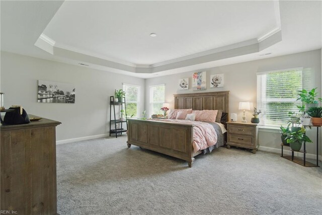 1028 Egret Ln, Suffolk, VA 23434 - bedroom with a tray ceiling, crown molding, light carpet, and baseboards