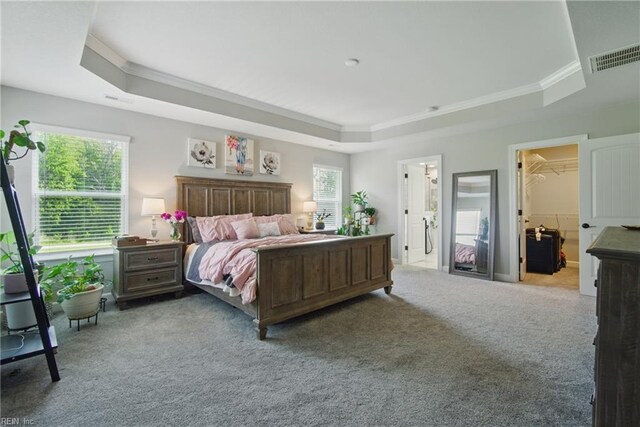 1028 Egret Ln, Suffolk, VA 23434 - bedroom with crown molding, a tray ceiling, carpet floors, and a spacious closet