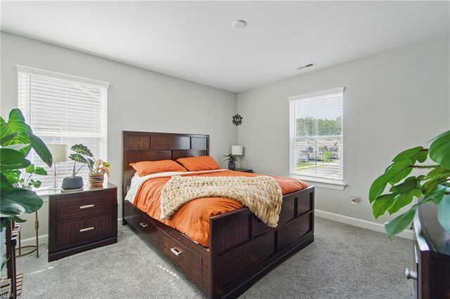 1028 Egret Ln, Suffolk, VA 23434 - bedroom with light carpet and baseboards
