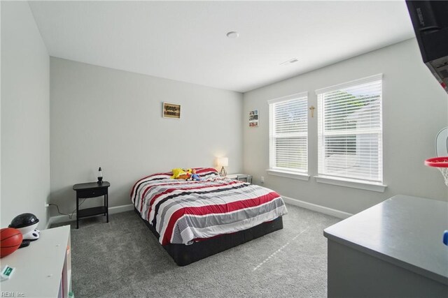 1028 Egret Ln, Suffolk, VA 23434 - bedroom featuring carpet floors and baseboards