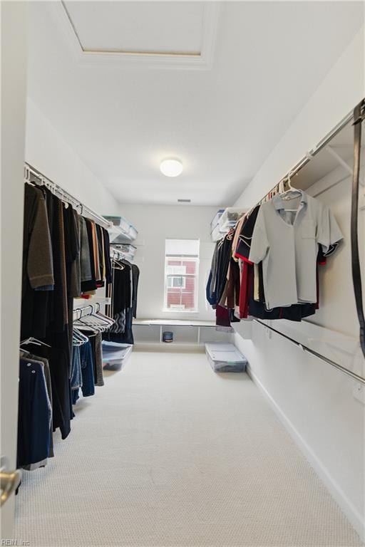 605 Middleton Way, Chesapeake, VA 23322 - walk in closet featuring carpet