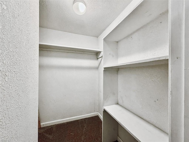 walk in closet featuring carpet