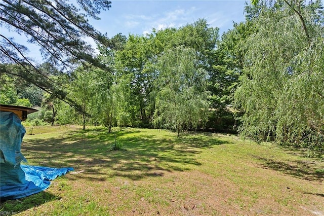 view of grassy yard
