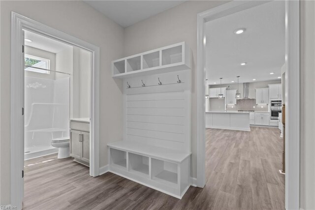 224 Preserve Way, Suffolk, VA 23434 - mudroom featuring light wood finished floors