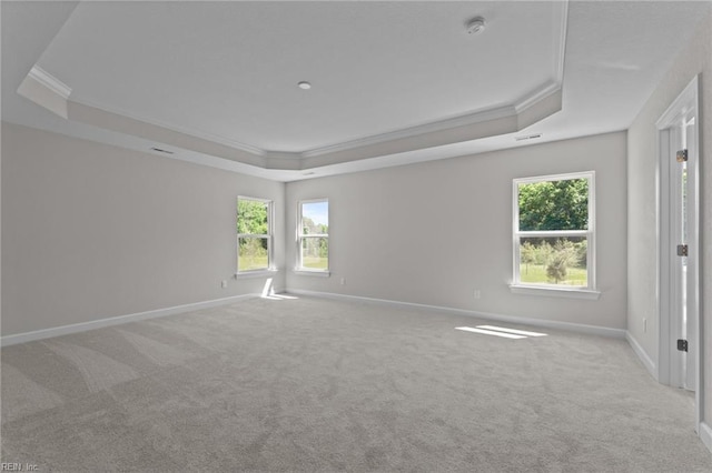 224 Preserve Way, Suffolk, VA 23434 - carpeted empty room featuring a raised ceiling, crown molding, plenty of natural light, a smoke detector, and baseboards