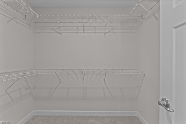 224 Preserve Way, Suffolk, VA 23434 - spacious closet featuring carpet flooring