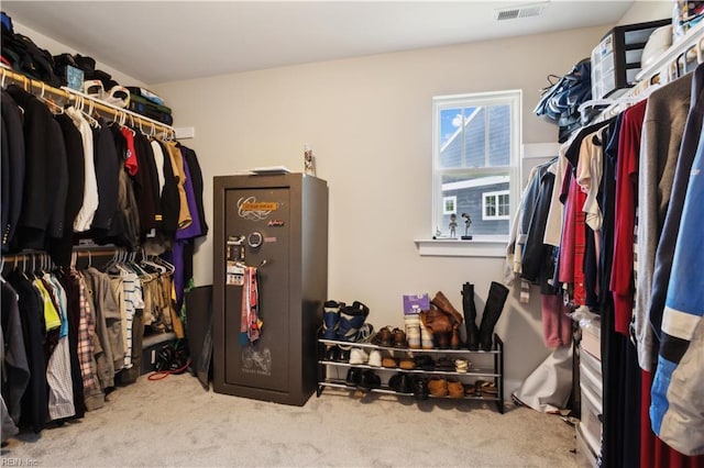 110 Sea Hero Ct, Suffolk, VA 23435 - spacious closet featuring carpet