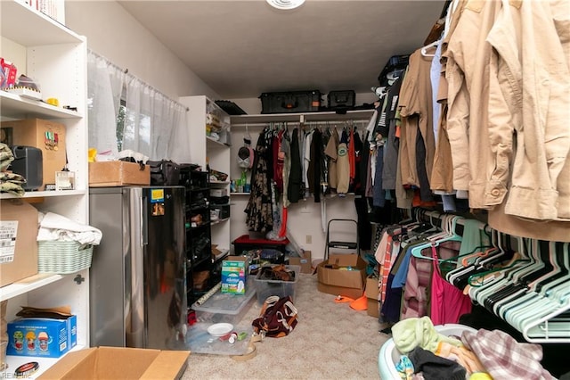 101 Stadium Dr, Chesapeake, VA 23322 - walk in closet featuring carpet