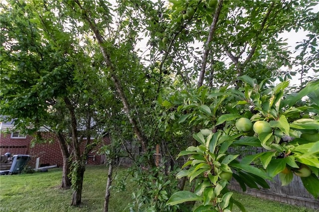 101 Stadium Dr, Chesapeake, VA 23322 - view of grassy yard