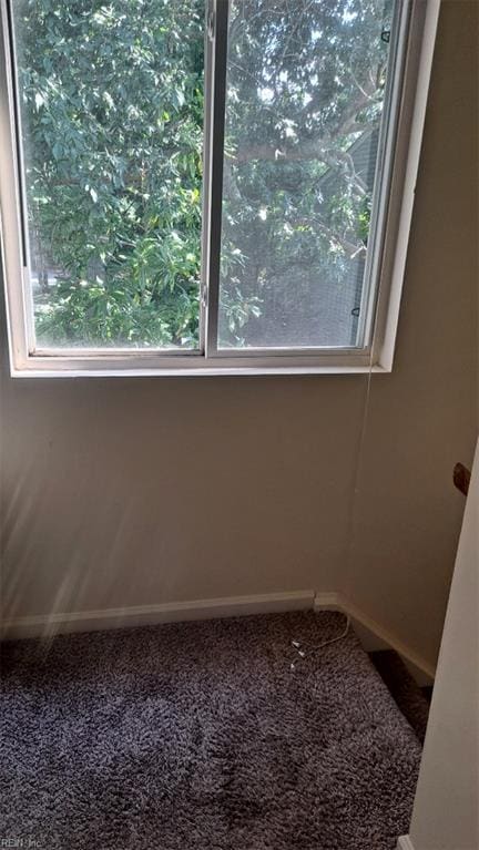 154 Jenness Ln Unit F, Newport News, VA 23602 - detailed view of carpet flooring and baseboards