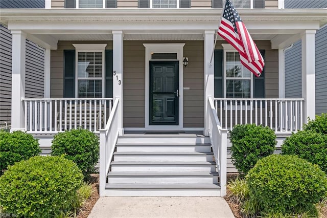 513 Simpson Ln, Chesapeake, VA 23323 - property entrance with covered porch
