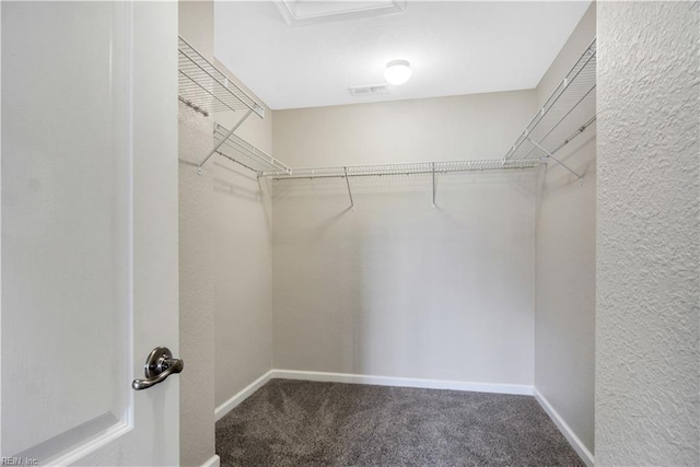 613 Freeman Dr, Hampton, VA 23666 - walk in closet featuring carpet floors