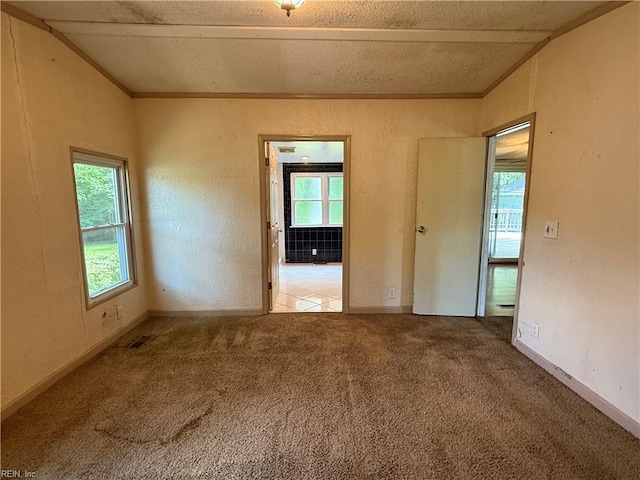 1224 Old Clubhouse Rd, Virginia Beach, VA 23453 - unfurnished room with healthy amount of natural light, carpet floors, lofted ceiling, a textured wall, and a textured ceiling