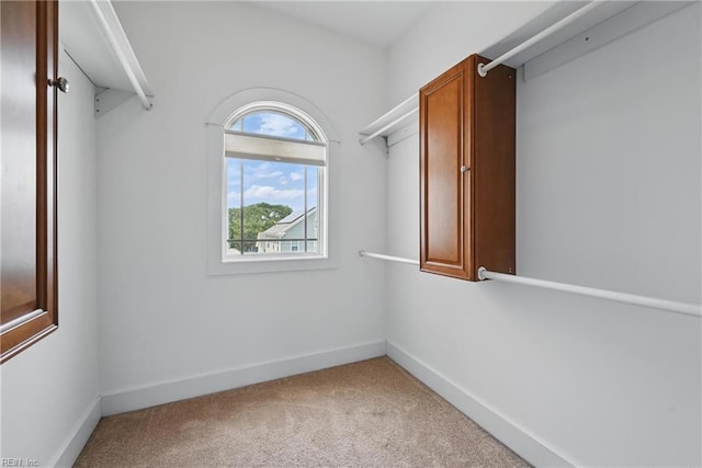 9628 7th Bay St Unit A, Norfolk, VA 23518 - spacious closet featuring light colored carpet