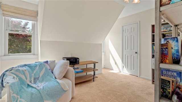 7371 Kirby Cres, Norfolk, VA 23505 - sitting room with carpet floors and lofted ceiling