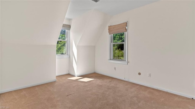 7371 Kirby Cres, Norfolk, VA 23505 - additional living space featuring carpet and baseboards
