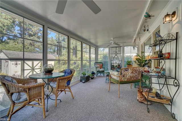 7371 Kirby Cres, Norfolk, VA 23505 - sunroom with ceiling fan and an outdoor hangout area