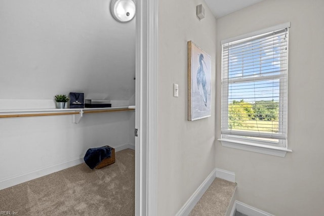 2512 E Ocean View Ave Unit A, Norfolk, VA 23518 - hallway featuring carpet floors, plenty of natural light, and baseboards