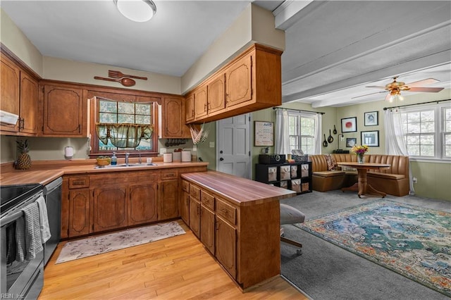 6110 Lyndhurst Ave, Norfolk, VA 23502 - kitchen with a sink, brown cabinets, a ceiling fan, stainless steel appliances, and a peninsula