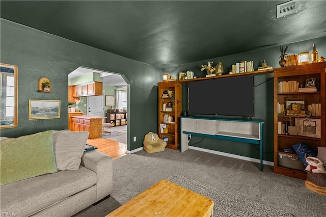 6110 Lyndhurst Ave, Norfolk, VA 23502 - living area featuring arched walkways, light carpet, and baseboards