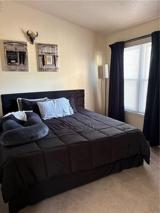 3684 Windmill Dr, Virginia Beach, VA 23453 - bedroom featuring light carpet