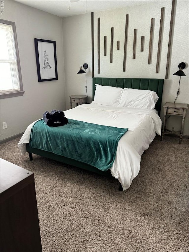 1628 Bourbon Ave, Norfolk, VA 23509 - bedroom with carpet floors