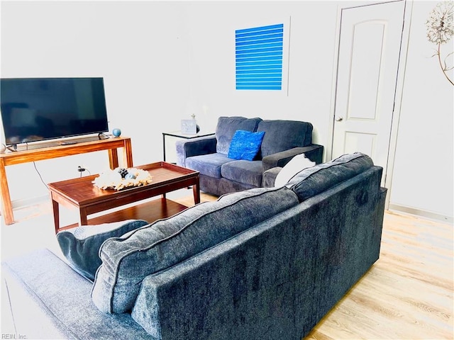 1628 Bourbon Ave, Norfolk, VA 23509 - living room featuring light wood-style flooring and baseboards
