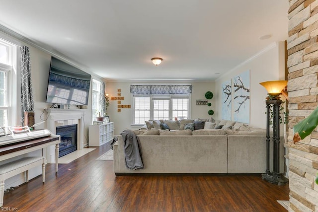 living area with a fireplace with flush hearth, ornamental molding, and dark wood finished floors