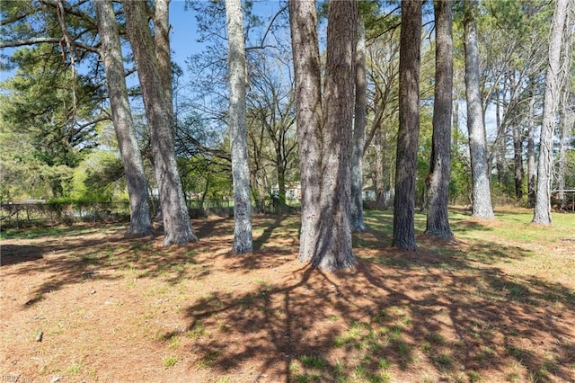 910 Truman Rd, Suffolk, VA 23434 - view of yard