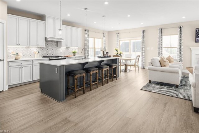1129 Egret Ln, Suffolk, VA 23434 - kitchen with a sink, light wood-style flooring, open floor plan, under cabinet range hood, and a breakfast bar area