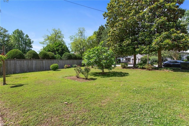 9913 River Rd, Newport News, VA 23601 - view of yard
