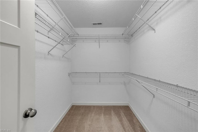 208 Mayberry Ct, Newport News, VA 23601 - walk in closet with carpet floors