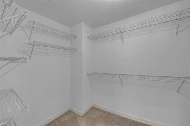 208 Mayberry Ct, Newport News, VA 23601 - walk in closet featuring light carpet