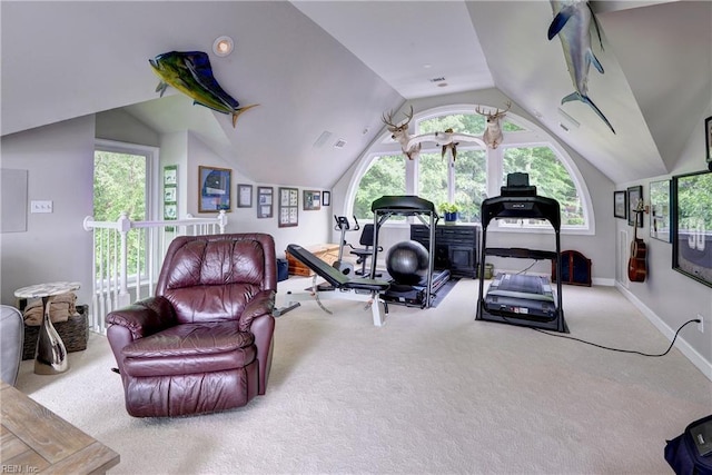 103 Acacia Ct, Williamsburg, VA 23185 - carpeted living room featuring lofted ceiling, healthy amount of natural light, and baseboards