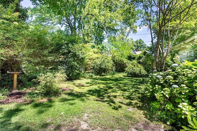 200 Ferguson Ave, Newport News, VA 23601 - view of green lawn