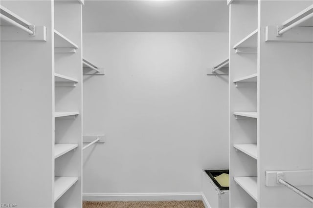 3556 Shore Dr Unit 704, Virginia Beach, VA 23455 - view of spacious closet