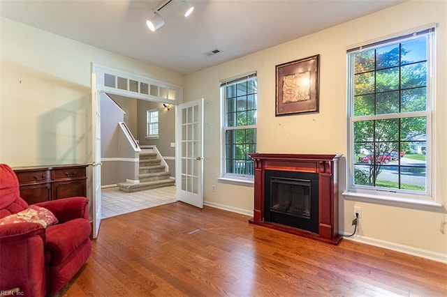 1209 Willow Creek Ct, Chesapeake, VA 23321 - living room featuring wood finished floors, healthy amount of natural light, and a fireplace