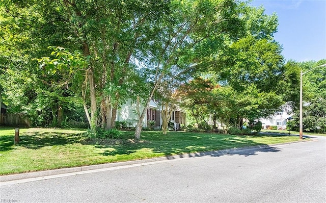 1209 Willow Creek Ct, Chesapeake, VA 23321 - view of property hidden behind natural elements