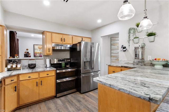 164 Nottingham Trl, Newport News, VA 23602 - kitchen featuring appliances with stainless steel finishes, under cabinet range hood, wood finished floors, a peninsula, and light stone countertops