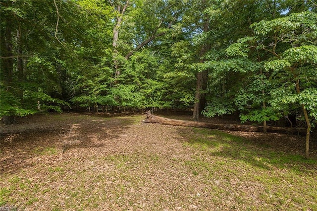 3408 Waterview Rd, Toano, VA 23168 - view of yard with a forest view