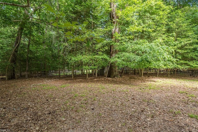 3408 Waterview Rd, Toano, VA 23168 - view of wooded area