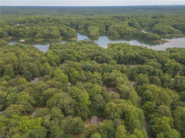 3408 Waterview Rd, Toano, VA 23168 - view of property location with a forest and a nearby body of water