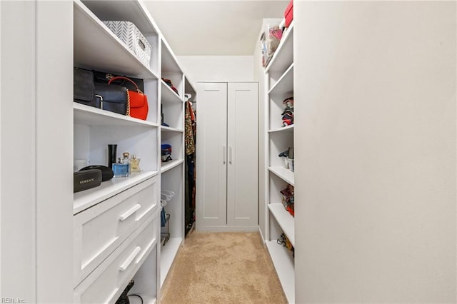 1925 Dale Greene Pl, Virginia Beach, VA 23456 - spacious closet featuring light carpet