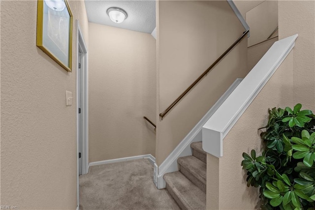 331 Fountain Way Unit 66, Hampton, VA 23666 - stairway featuring carpet floors and baseboards