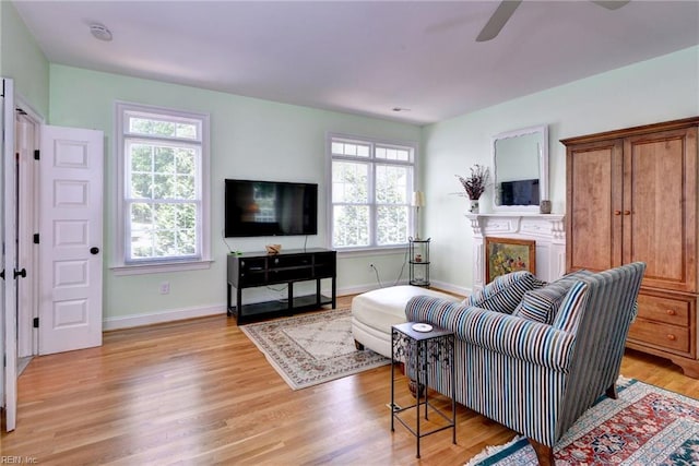117 Shinnecock, Williamsburg, VA 23188 - living area featuring healthy amount of natural light, ceiling fan, light wood-style flooring, and a fireplace